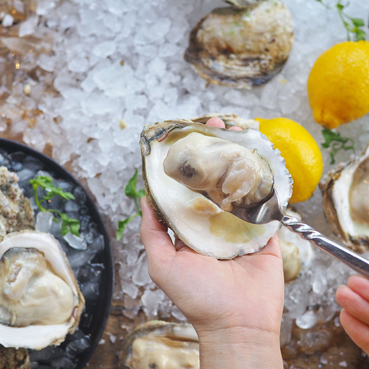 Crown Prince - Ostiones Ahumados en Aceite Algodón  106gr - Estados Unidos