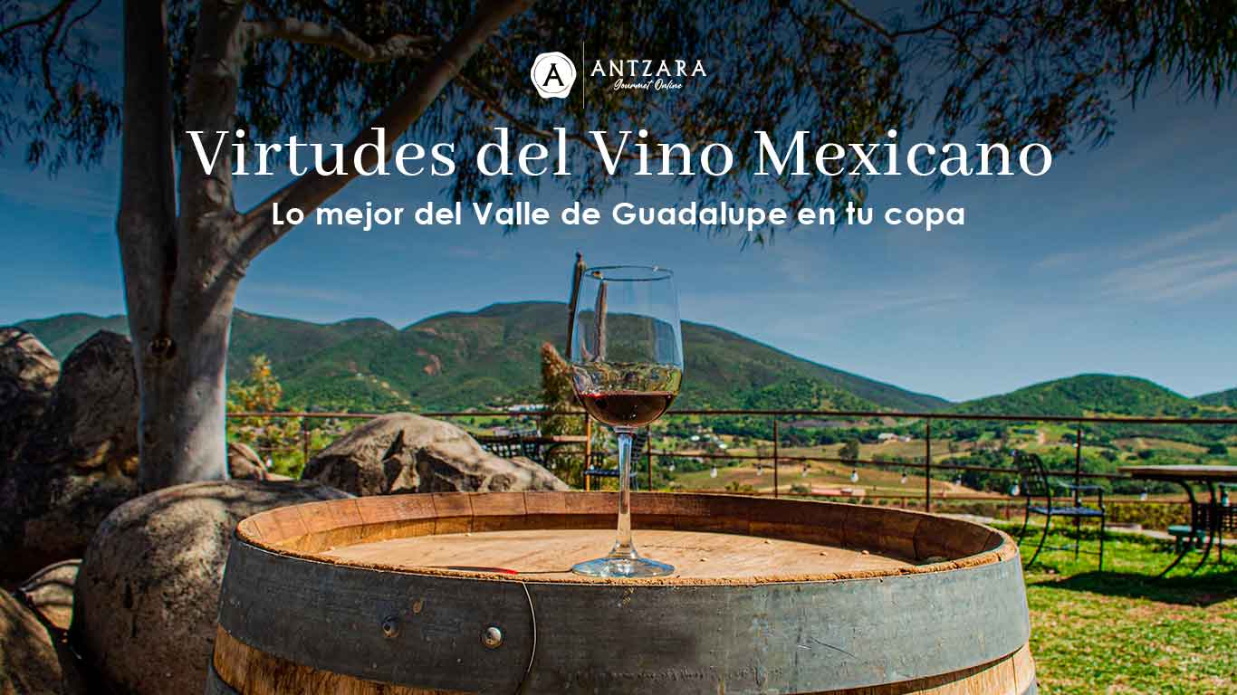Virtudes del Vino Mexicano: Lo Mejor del Valle de Guadalupe en tu Copa