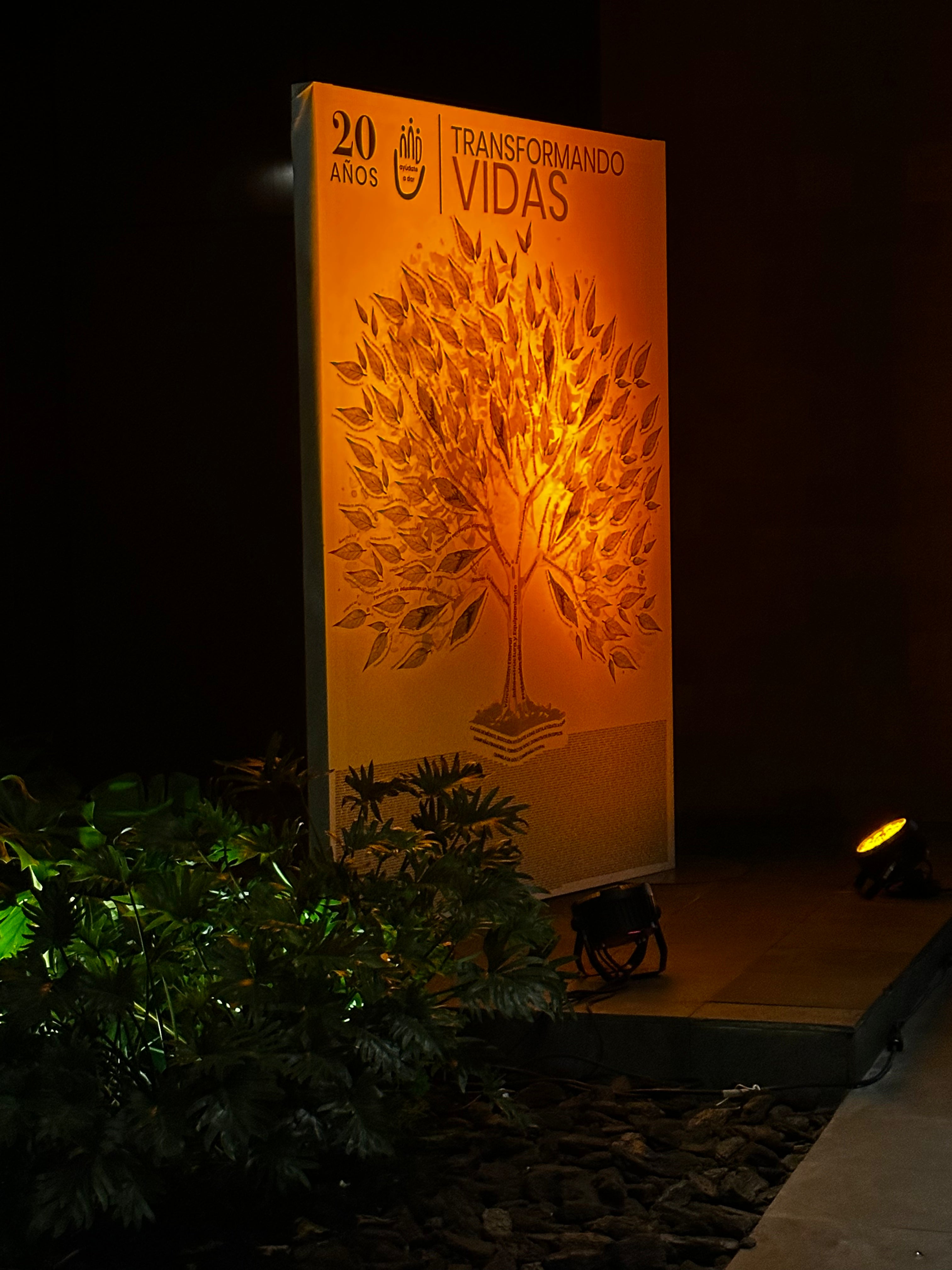 Ayúdate a Dar - ANTZARA