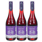 Promo 3X2 - Vino Tinto - Cono Sur Bicicleta Pinot Noir - 750 ml