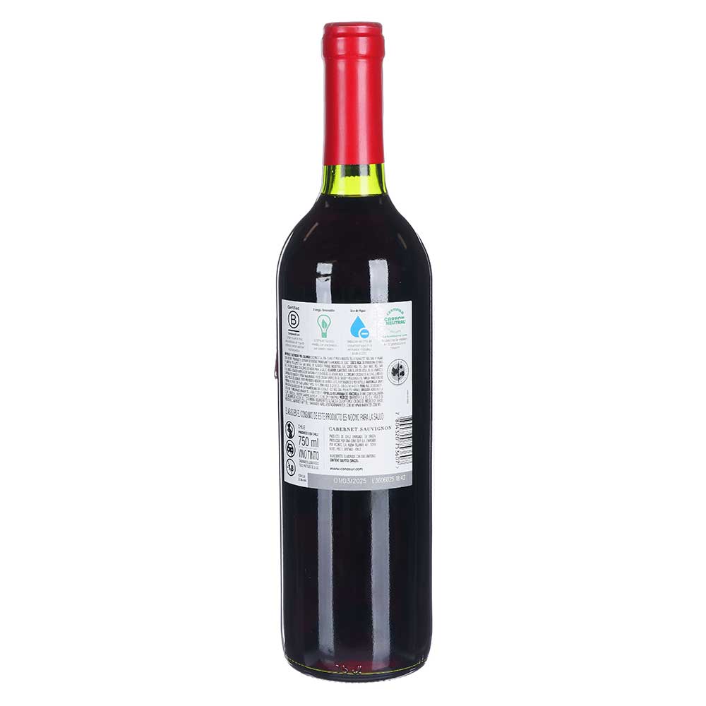 Vino Tinto - Cono Sur Bicicleta Cabernet Sauvignon - 750 ml - Chile