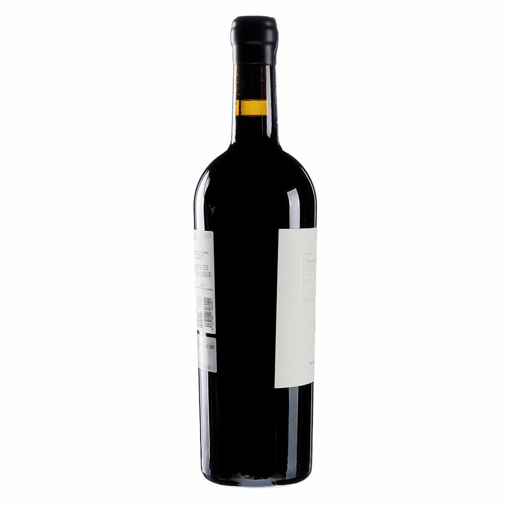 Vino Tinto Aiurri Salas 2021 de 750 ml - España
