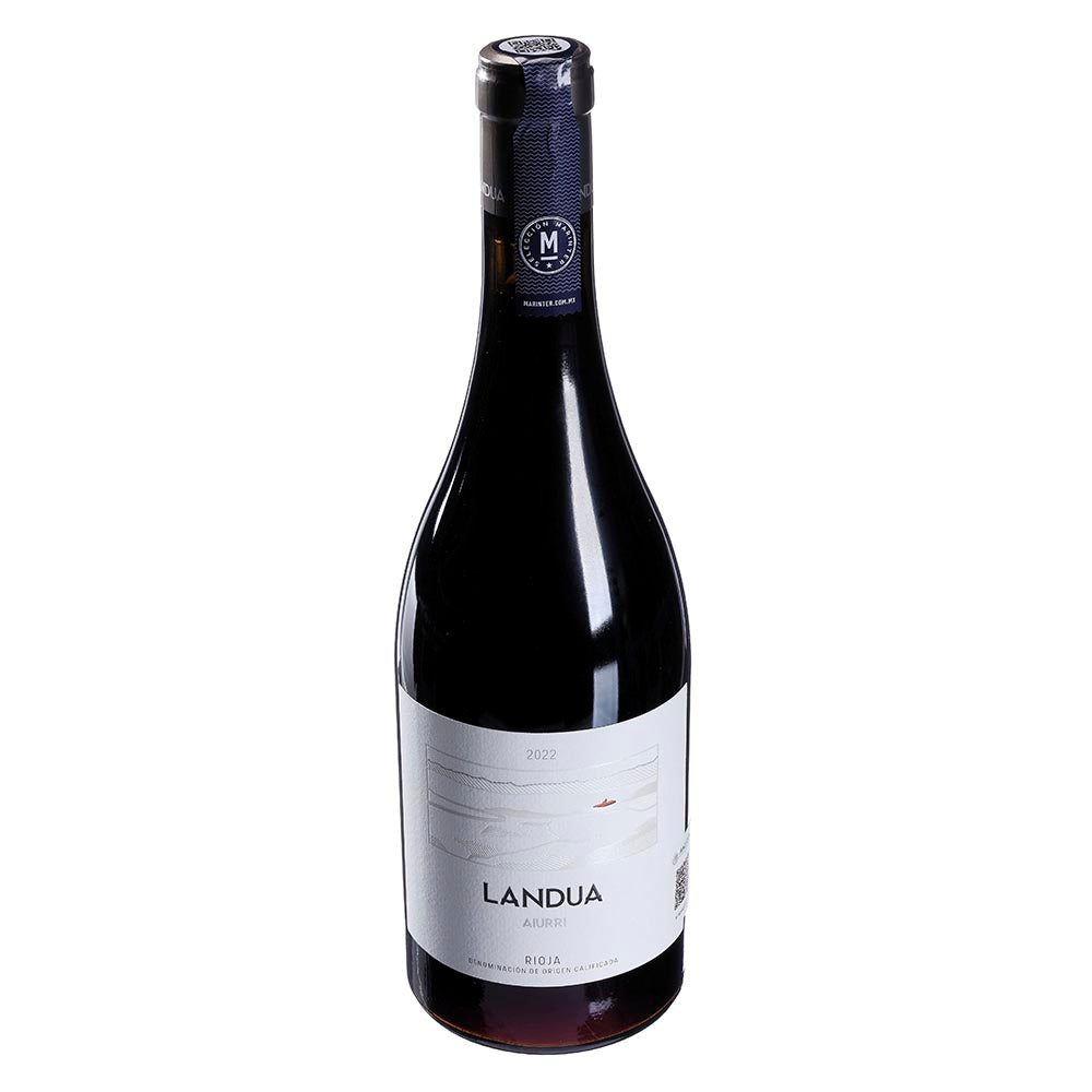 Vino Tinto Aiurri Landua 2022 de 750 ml - España