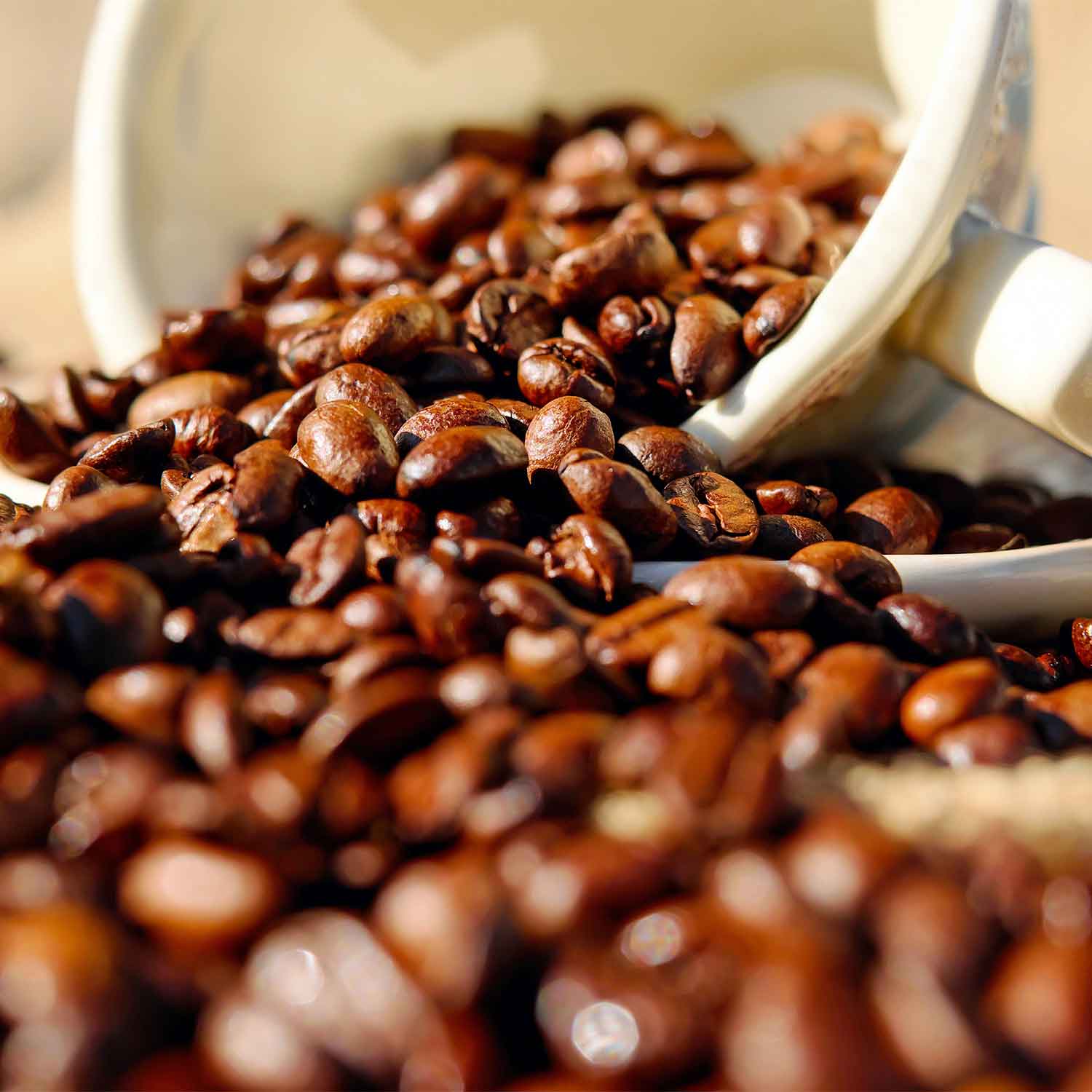 Café - La Finca Europeo en Grano 340 g - México