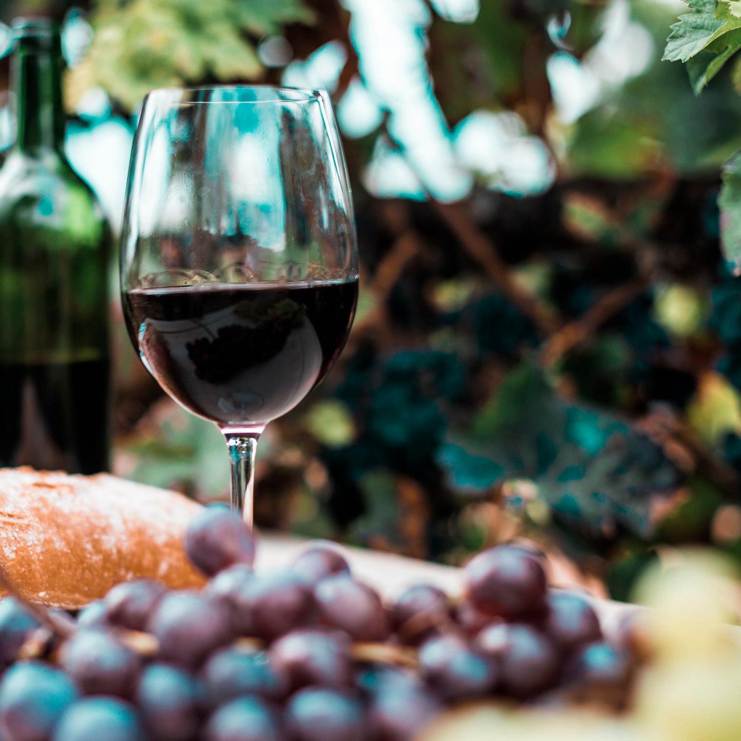 Vino Tinto - Isla Negra Merlot - 750ml - Chile