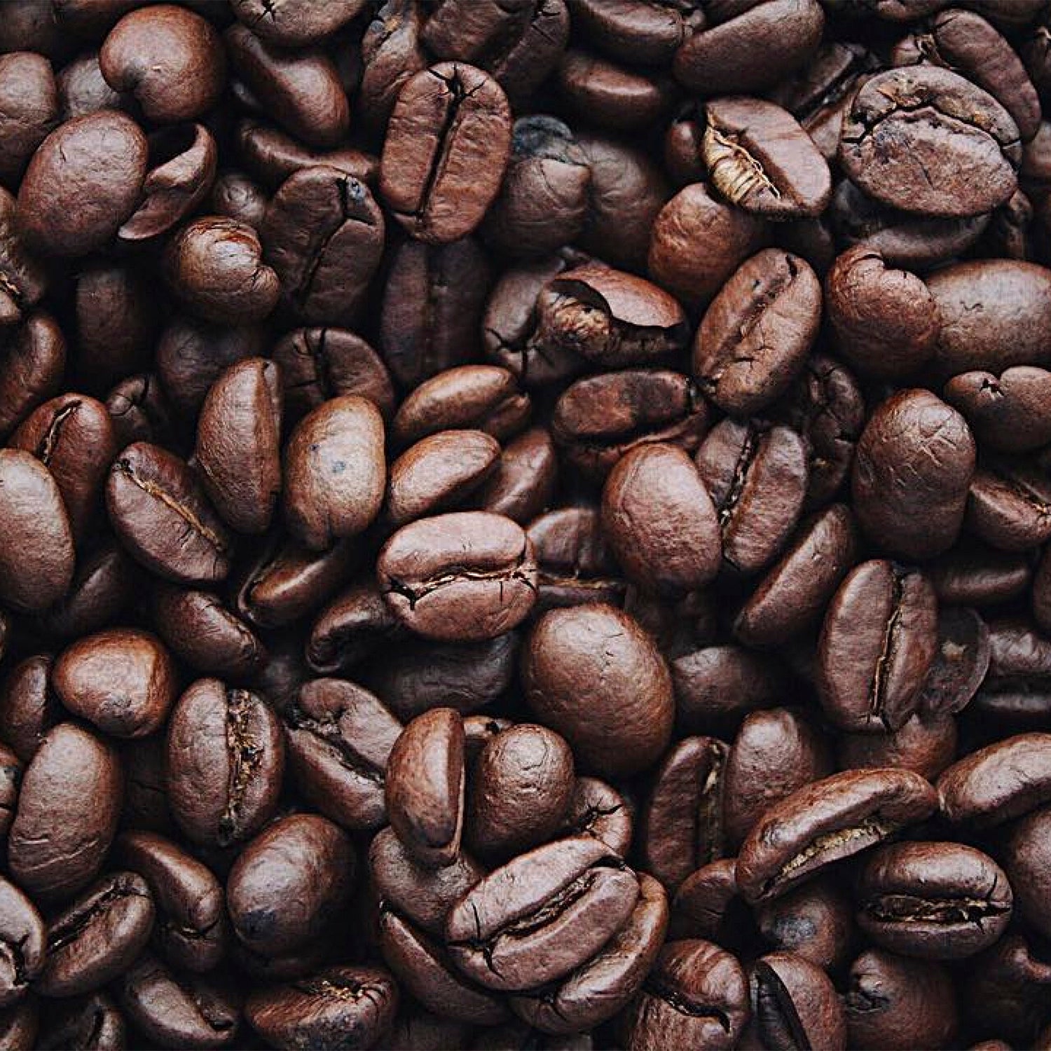 Café - Kimbo  cafe espresso Napolés en Grano - 500g - Italia